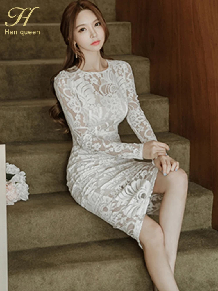 Sarah New Lace Pencil Dress